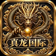 真龙国际